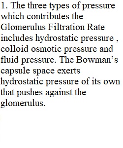 Renal System Discussion 1